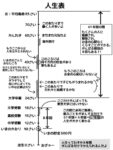 レス3番の画像1