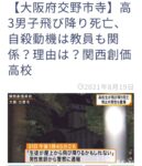 レス39番の画像5