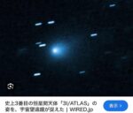 レス1番の画像4