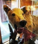 レス1番の画像2