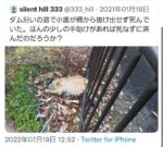 レス37番の画像1