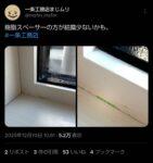 レス8番の画像1