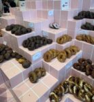 レス2番の画像1