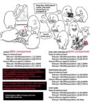 レス10番の画像1