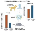 レス13番の画像1