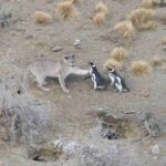 レス7番の画像1