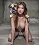 レス29番の画像2