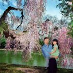 レス112番の画像8