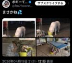 レス99番の画像1