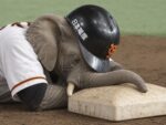 レス14番の画像2