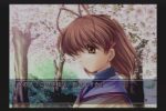 レス14番の画像1