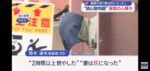 レス1番の画像2
