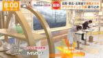 レス8番の画像4