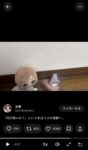レス25番の画像2