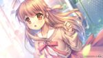 レス43番の画像1
