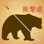レス15番のリンク先のサムネイル画像