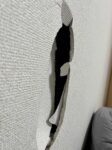 レス1番の画像2