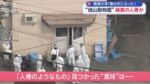 レス18番のリンク先のサムネイル画像