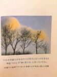 レス29番の画像1