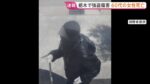レス1番のリンク先のサムネイル画像