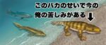 レス91番の画像1