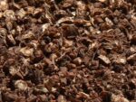 レス29番のリンク先のサムネイル画像