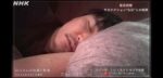 レス17番の画像1