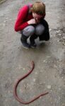 レス5番の画像1