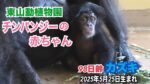 レス7番の画像1