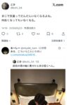 レス207番の画像1