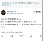 レス321番の画像1