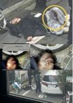 レス13番の画像1