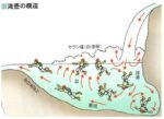 レス5番の画像1
