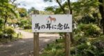 レス75番の画像1