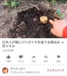 レス144番の画像1