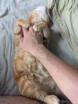 レス16番の画像2