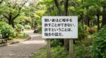 レス72番の画像1