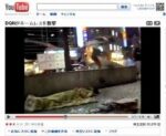 レス28番のリンク先のサムネイル画像