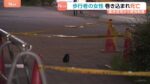 レス1番のリンク先のサムネイル画像