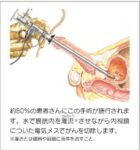 レス15番の画像1