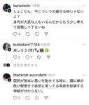 レス1番の画像2