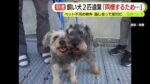レス2番のリンク先のサムネイル画像