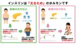 レス9番の画像1