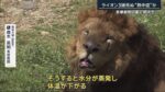 レス63番の画像2