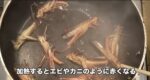 レス1番の画像2