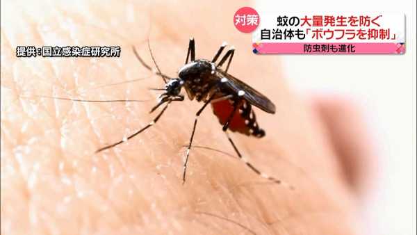 記事サムネイル