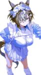 レス11番の画像1