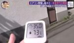 レス22番の画像1