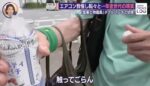 レス22番の画像3