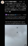 レス11番の画像1